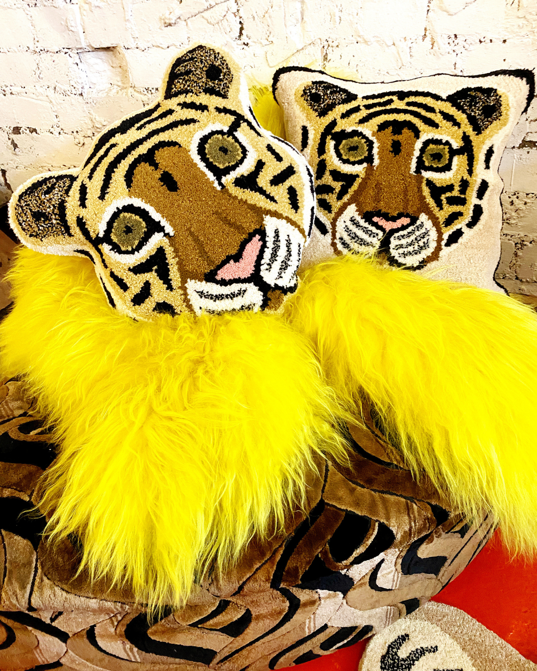 Cosy Tiger Collection