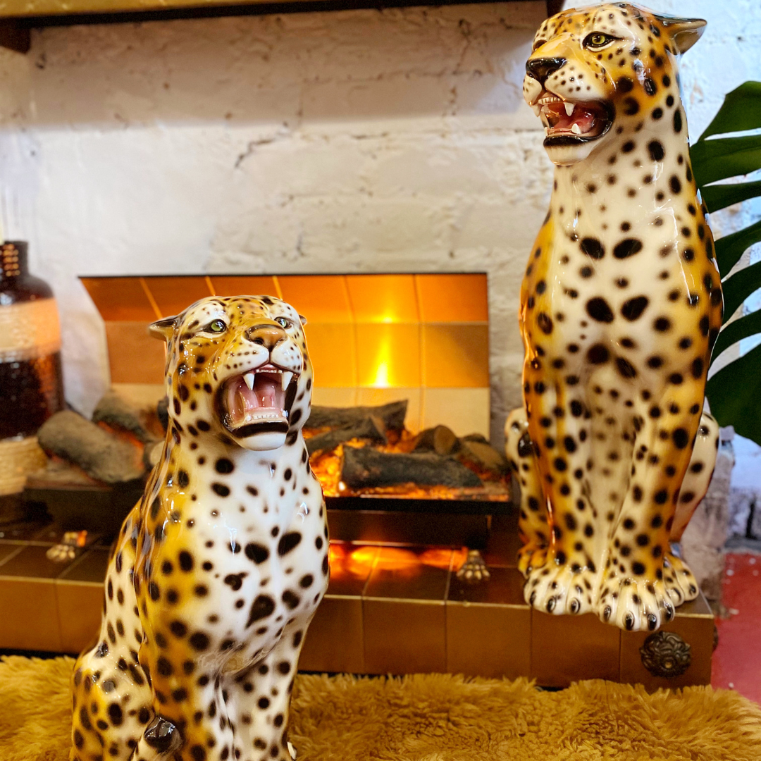 Leopards