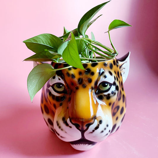 'Emma' Medium Classic Leopard Ceramic Planter