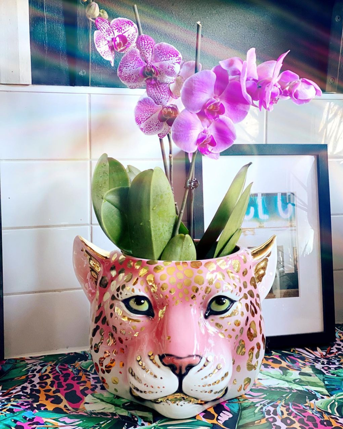 'Sparkle' Pink 24k Gold Medium Leopard Planter