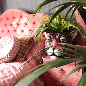 'Piper' XL Black Ceramic Panther Planter