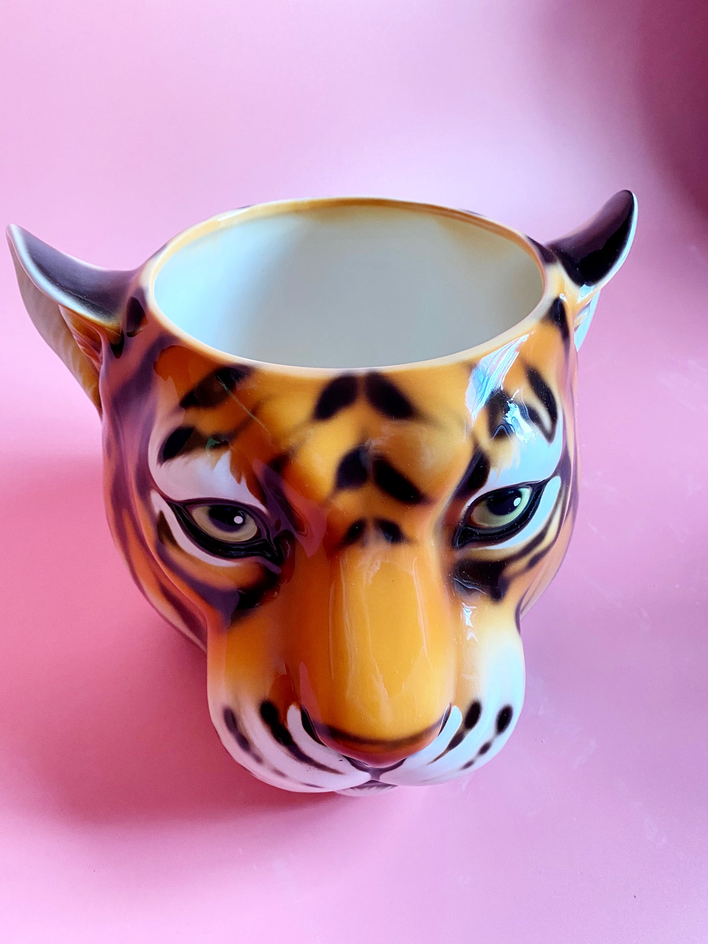 'Geri' Medium Classic Tiger Ceramic Planter