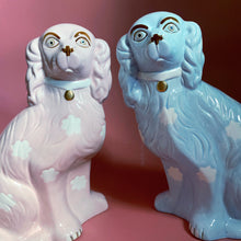 Load image into Gallery viewer, NEW &#39;Mixed&#39; Pair of Blue &amp; Pink Sitting Staffordshire Wally Dog Ceramic Statue