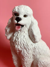 Load image into Gallery viewer, NEW &#39;Luna&#39; White Sitting Poodle Dog Italian Ceramic Statue
