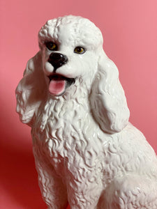 NEW 'Luna' White Sitting Poodle Dog Italian Ceramic Statue