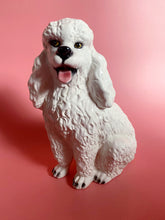 Load image into Gallery viewer, NEW &#39;Luna&#39; White Sitting Poodle Dog Italian Ceramic Statue