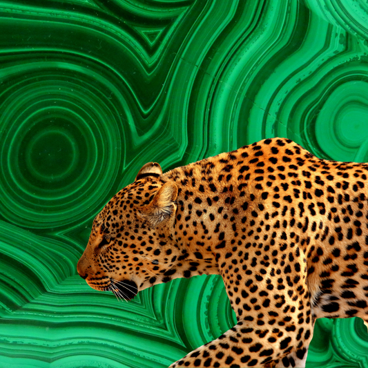 'Green Leopard' Art Print
